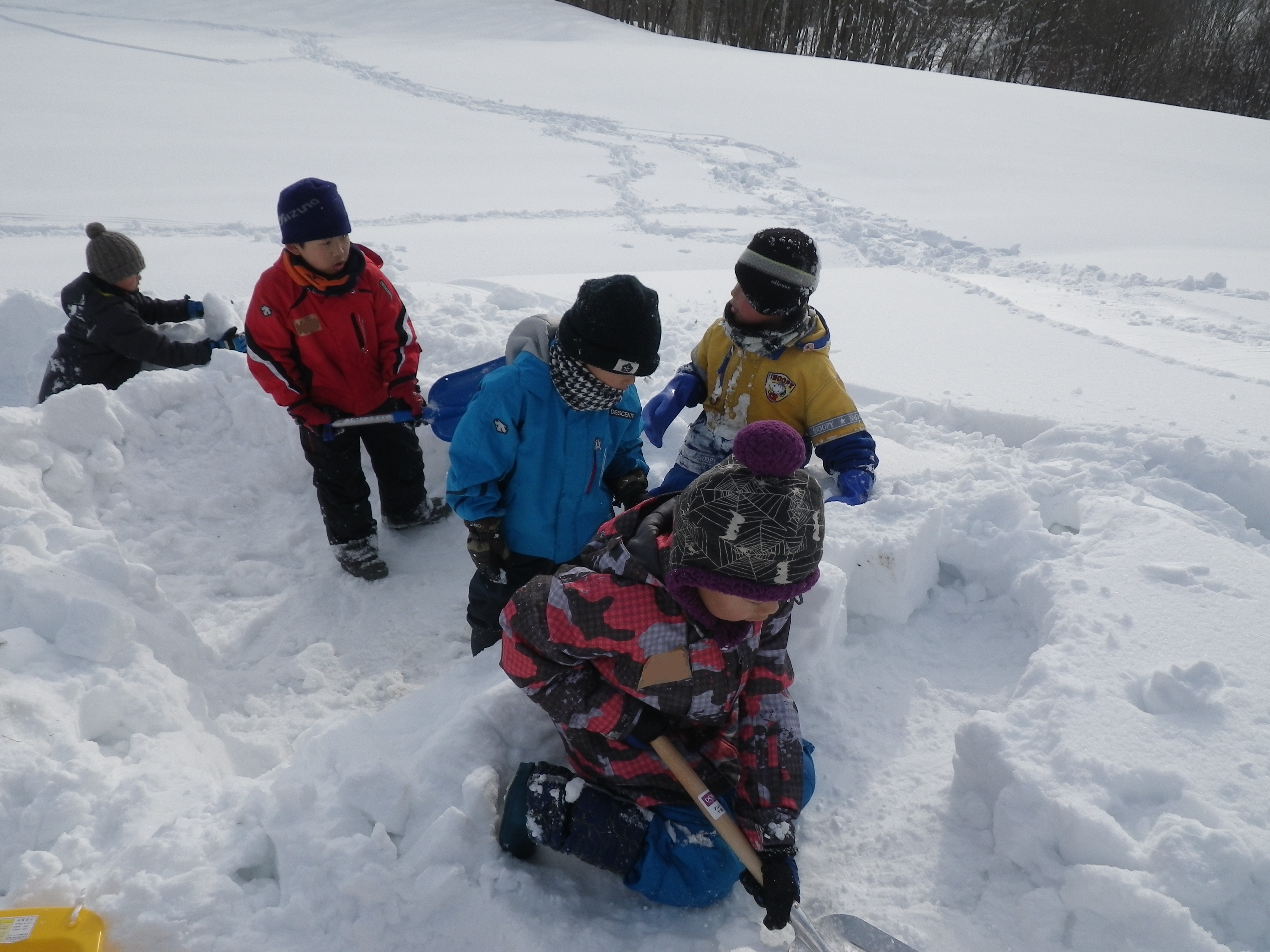 冬だ！雪であそぼう！！…