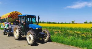 6/1［SAT］2［SUN］安…