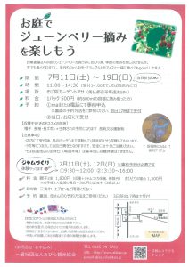 ジューンベリー摘みを楽しもう!…