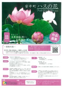 【安平町 ハスの花フォトコンテ…
