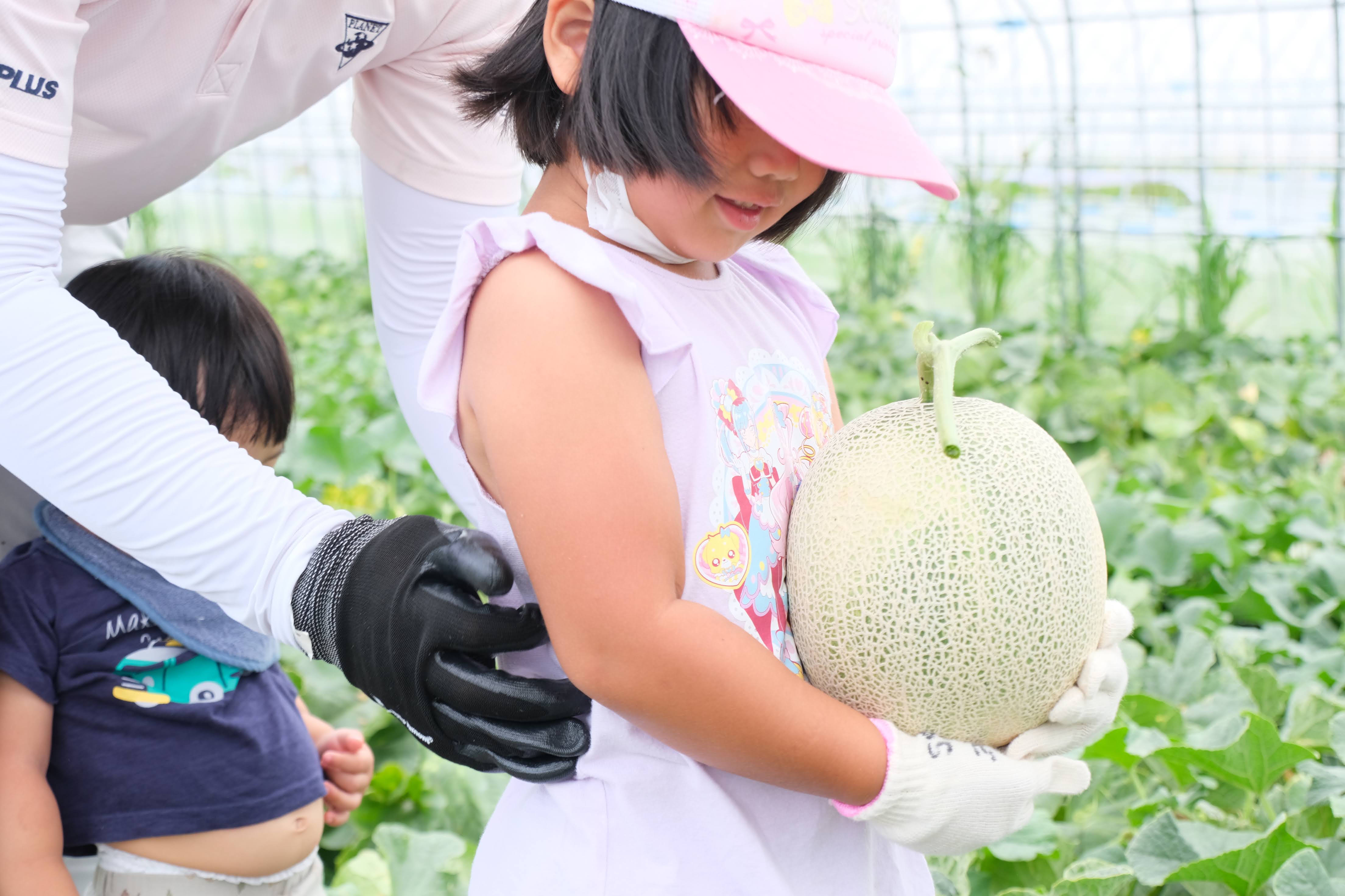 【終了しました】畑さんぽ〜メロン畑編〜