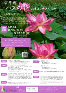 【安平町 ハスの花フォトコンテ…