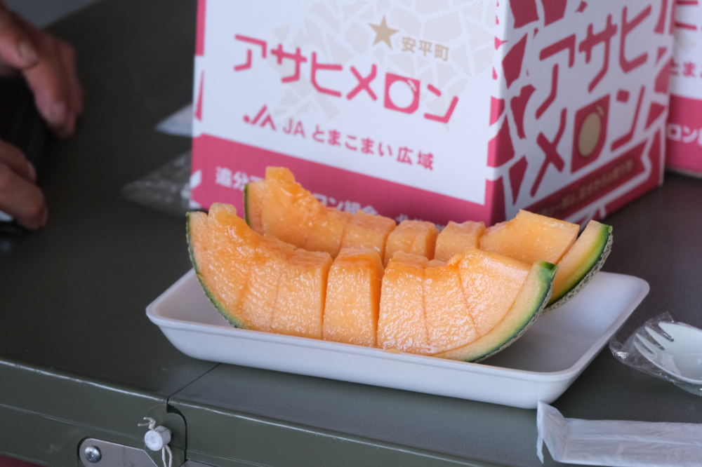 畑さんぽ　～メロン畑編～